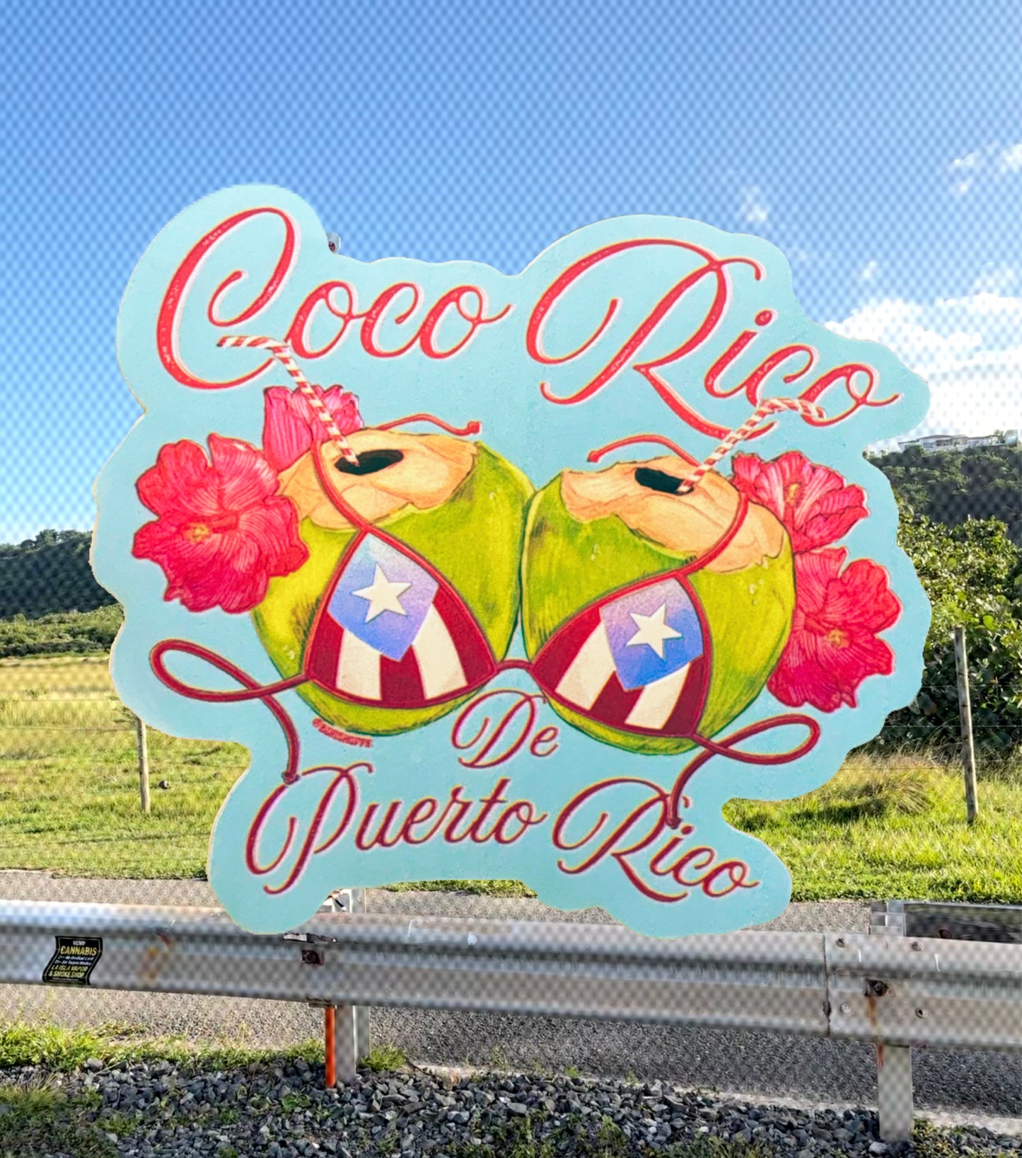 Coco Rico de Puerto Rico