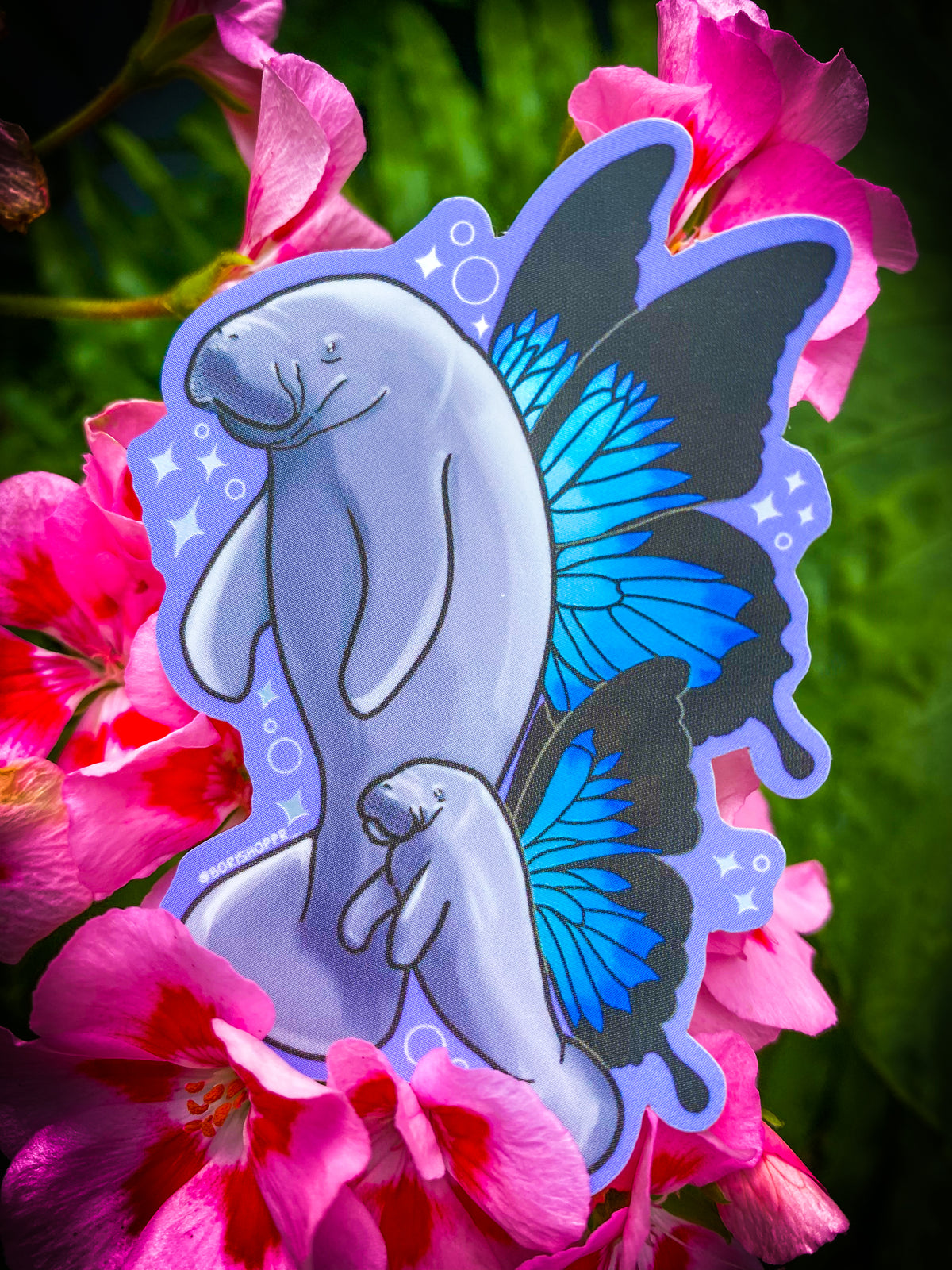 Los Manatíes 🦋